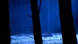 Defy the Darkness