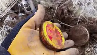 Metal Detecting in the Desert