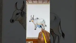 Cow easy drawing | #shorts #art #cow #painting #ashortaday #youtubeshorts