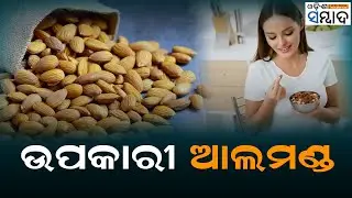 Do You Love To Eat Almonds? Know Its Benefits