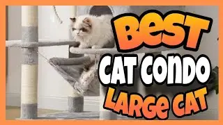 TOP 5 ✅BEST CAT CONDO FOR LARGE CATS OF 2025 REVIEWED| ✅KITTY CONDOS FOR LARGE CATS, CAT CONDO LARGE
