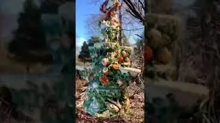 Picking up a package in Albert's Forest