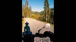 Неожиданный попутчик на вершине горы #дваколеса #Альпы #scrambler #yamaha #xt600 #tenere #adventure