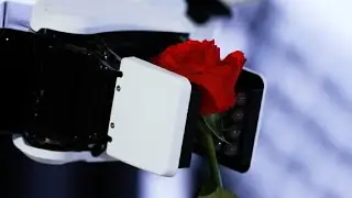 Sony Technology Day｜Reproduce the delicacy of the human hand