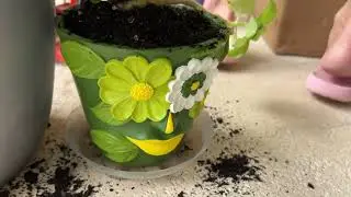 Planting basel in a GUGUGO Flower Face Planter