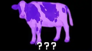 15 Cow 