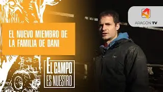 Conocemos al nuevo miembro de la ganadería de Dani