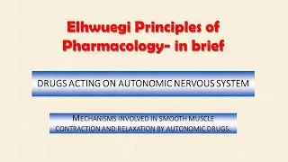 Mechanisms involved in smooth muscle contraction and relaxation by autonomic drugs.