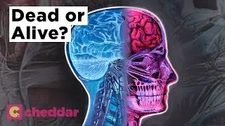 You Can Be Legally Dead In One Place And Alive In Another - Cheddar Explains