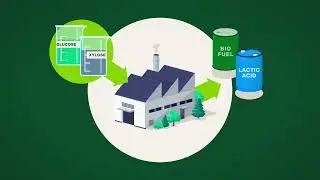 NZ Bio Forestry Science Explained