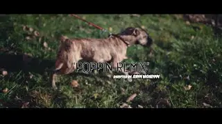 The Messiah • Poppin Remix [Official Video|  | Filmed By @RayyMoneyyy