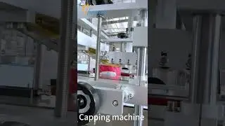 Automatic Dustproof Cap Capping Machine , Plastic Cover Capping Machine , Capping Machine (2025)