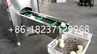 onion top and tail cutting machine green onion stem cutter onion ends cutting machine