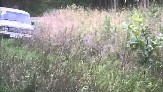 SDC12820