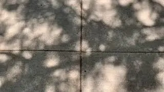 Shadow leaf effect