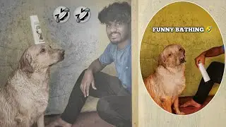 Funny Bathing Video | Gani ని Shampoo తీసుకొని రా | @upendragani