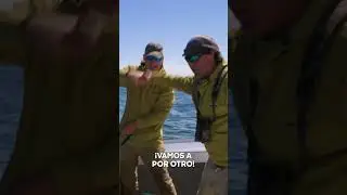 Pesca de at&uacute;n con arp&oacute;n