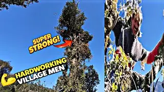 The Hard Life of Village People | Real Struggle in Mountains | Komal Bonish Vlog
