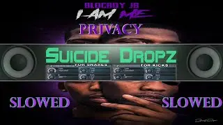 BlocBoy JB - Privacy (Slowed)