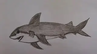 How to draw shark|sea fish| shark | simpledrawing |easy drawing|step by steps drawing | dream line 