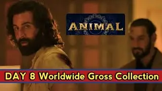 Animal Movie Box Office Collection Day 8 | Animal Worldwide Collection | Animal Box Office Report