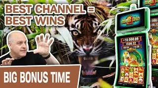 🐯 Jinse Dao TIGER = HANDPAY 🤑 The BEST Slot Channel Brings The BEST Wins