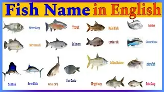 Part 1 | Fish Name in English | Fish Name Vocabulary | Fish Vocabulary in English With pictures