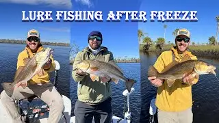 Fishing For Redfish & Trout the DAY After SEVERE FREEZE With Lures | Winter Inshore Fishing