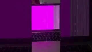 #Flexgate issue MacBook pro 13&rdquo; 2017 model A1708 . Pink screen, pink display. Repair program needed!