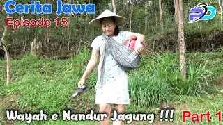 WAYAH E NANDUR JAGUNG Part 1 || Eps 15 || Cerita Jawa