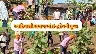 ઇદ રાજા 
