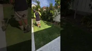 Уборка заднего двора выполнена на высшем уровне 🌿✂️ #шорты