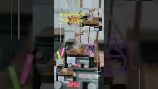 #Reflux Reaction Setup &ndash; Controlled Heating in Action 🧪