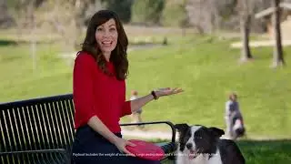 Loyalty Toyota - Summer Starts Here | Dog Days of Summer