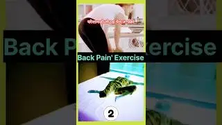 Back Pain' Exercise💯 #pain #painrelief #therapy #exercise #backpain #massage #trending #viralshortsl