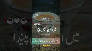 poetry on tea 🍵|| tea lover #poetrystatus #poetry #tea #poetrycommunity
