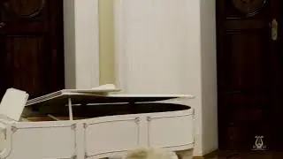 Десятый международный конкурс оперных певцов &laquo;Санкт-Петербург&raquo;. Торжественное открытие.