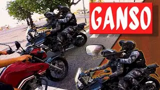 ASSALTO NO RIO DE JANEIRO? HOJE NÃO É DIA DE GANSO. (VEJAM O QUE FIZ.A 