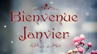 Lion 🦁 janvier 2026 Une situation qui semblait bloqu&eacute;e va se r&eacute;gler patience 🙏🏻🪽😉