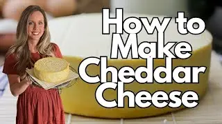 How to Make Cheddar Cheese
