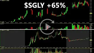 SGLY Stock Replay +65% Singularity Future Tech Ltd Stock Review