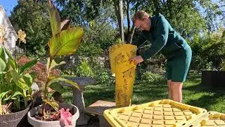 Fall Organizing + Concrete Fountain