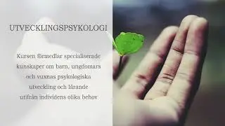 Enstaka kurser Behandlingspedagog NPF