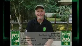 Good News Tree Service Inc., Who We Are and What We Do