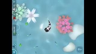 Zen Koi
