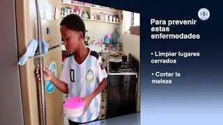 CAPSULA ANTAVIRUS 2019