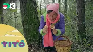 Excursi&oacute; a buscar bolets | Tit&oacute;