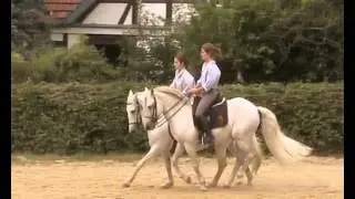 Reitschule Horstmann - Camarguepferde