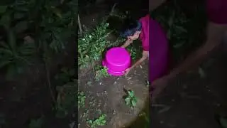 good idea #reels #animalstory #viral