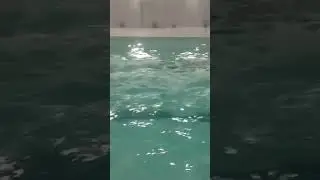 CBSE schools swimming north zone k comption ki tyri jor sor se